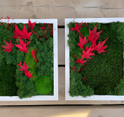 Scarlet Harmony Moss Wall Art with Red Accents