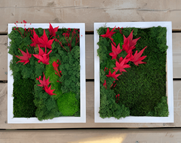 Scarlet Harmony Moss Wall Art with Red Accents